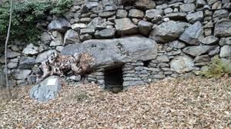 La delegazione AIS di Verbania in visita al sito megalitico di Varchignoli