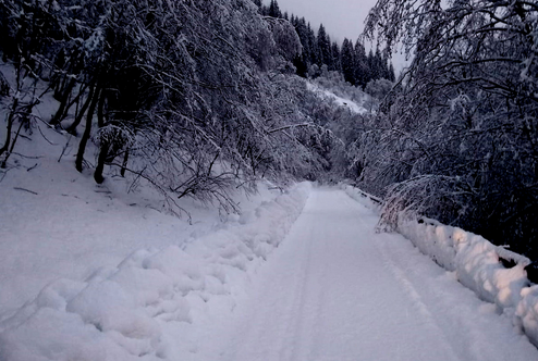 Schermata 2019 11 23 alle 20.58.17